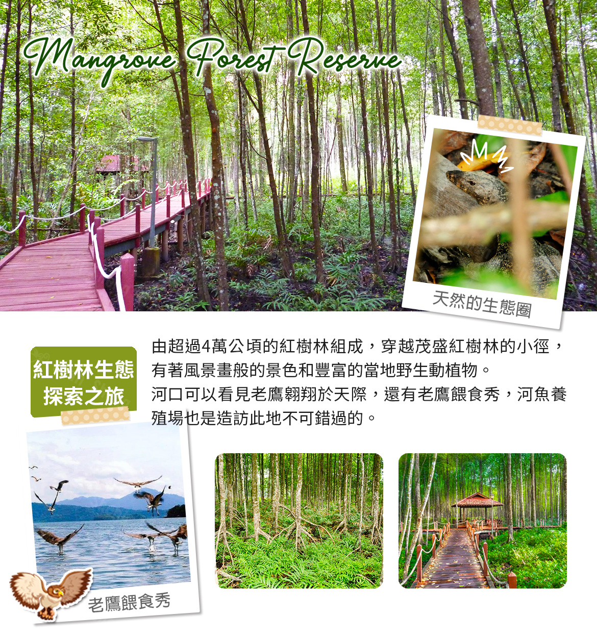 Hentai List 足交 性殖樹 Hentai 開啟 您的 情慾 開關 盡情 釋放