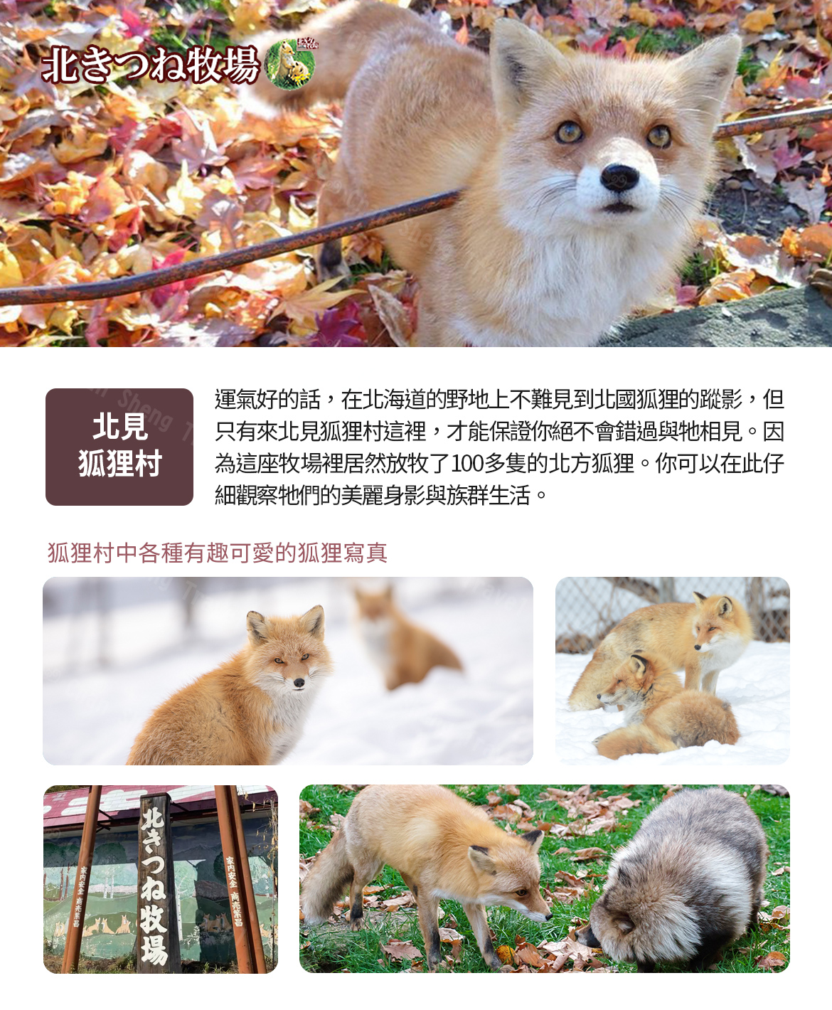 行程特色圖片