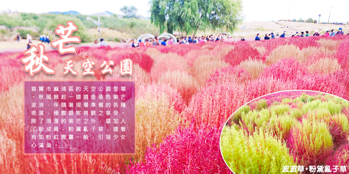 行程特色圖片